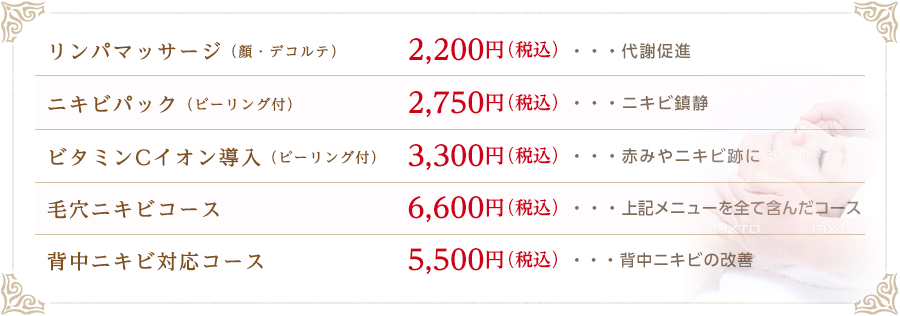 人気コースメニューのご案内